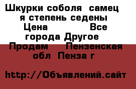Шкурки соболя (самец) 1-я степень седены › Цена ­ 12 000 - Все города Другое » Продам   . Пензенская обл.,Пенза г.